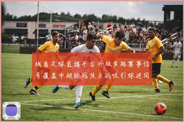 线看足球直播平台升级多路赛事信号覆盖中超欧冠焦点战吸引球迷同步观看