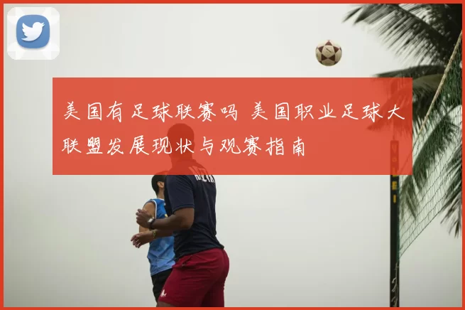 美国有足球联赛吗 美国职业足球大联盟发展现状与观赛指南