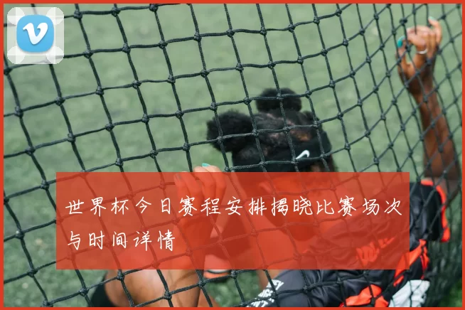 世界杯今日赛程安排揭晓比赛场次与时间详情