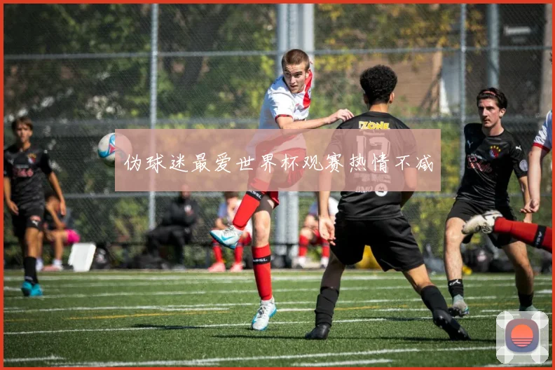 伪球迷最爱世界杯观赛热情不减
