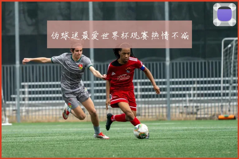伪球迷最爱世界杯观赛热情不减