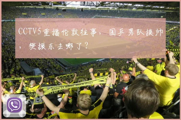 CCTV5重播伦敦往事,国乒男队换帅,樊振东去哪了?