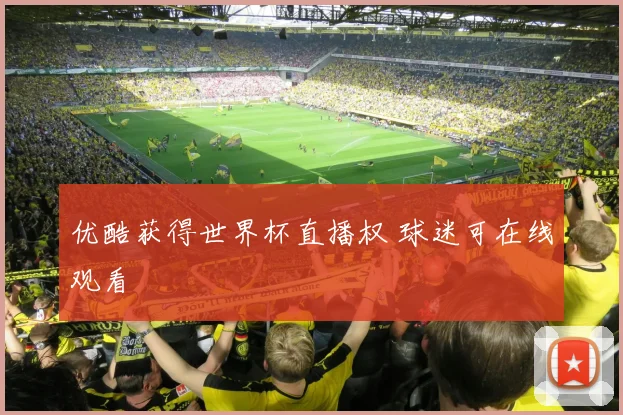 优酷获得世界杯直播权 球迷可在线观看